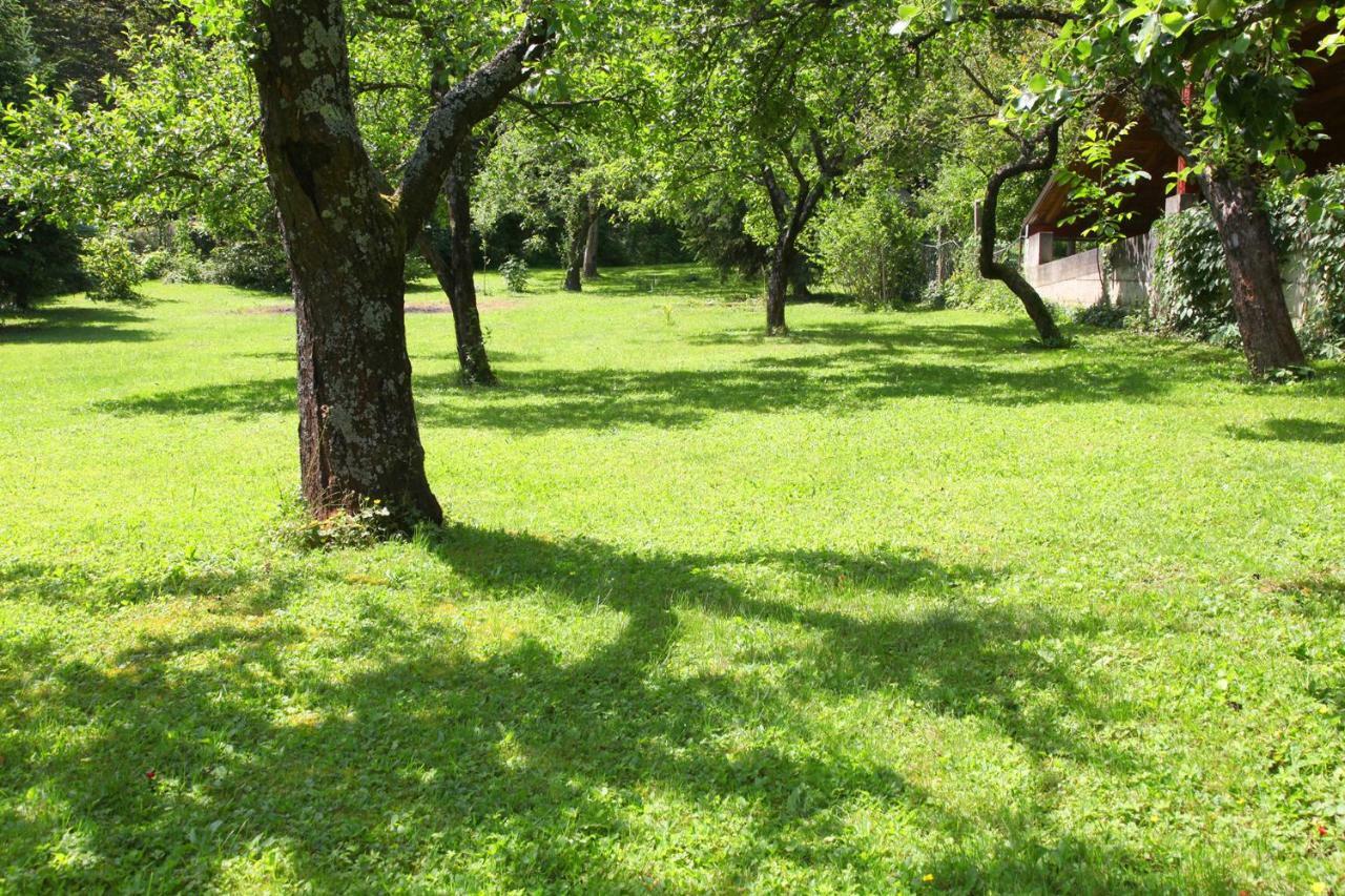 Apple Tree Apartment Загреб Екстериор снимка
