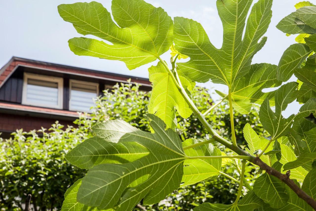 Apple Tree Apartment Загреб Екстериор снимка