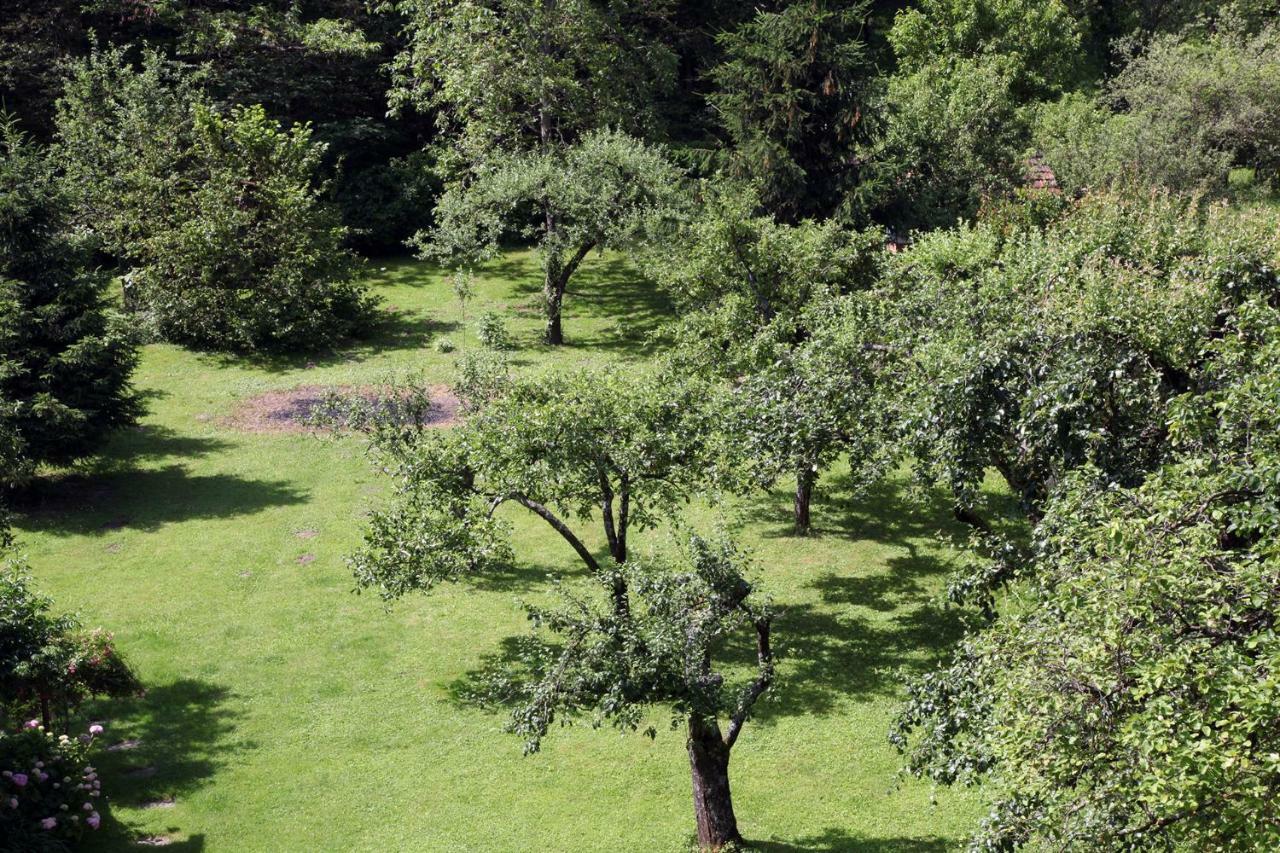 Apple Tree Apartment Загреб Екстериор снимка